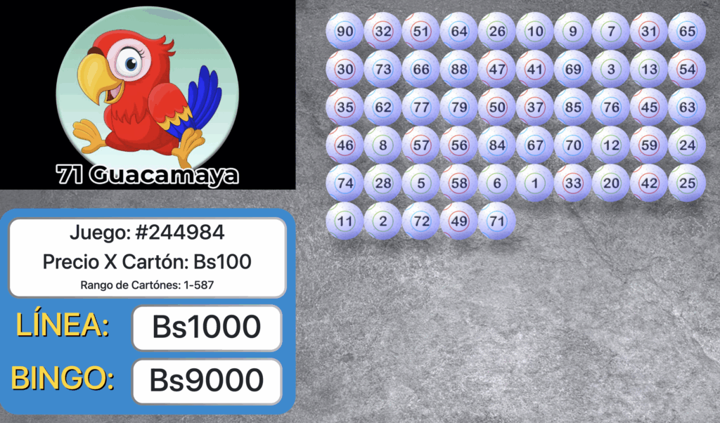 BINGAZO Animal Bingo TV