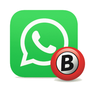 WhatsApp BINGAZO