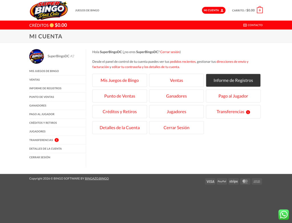 Informe de Registros
